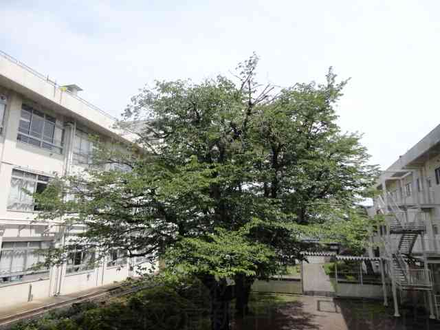 DSC06882