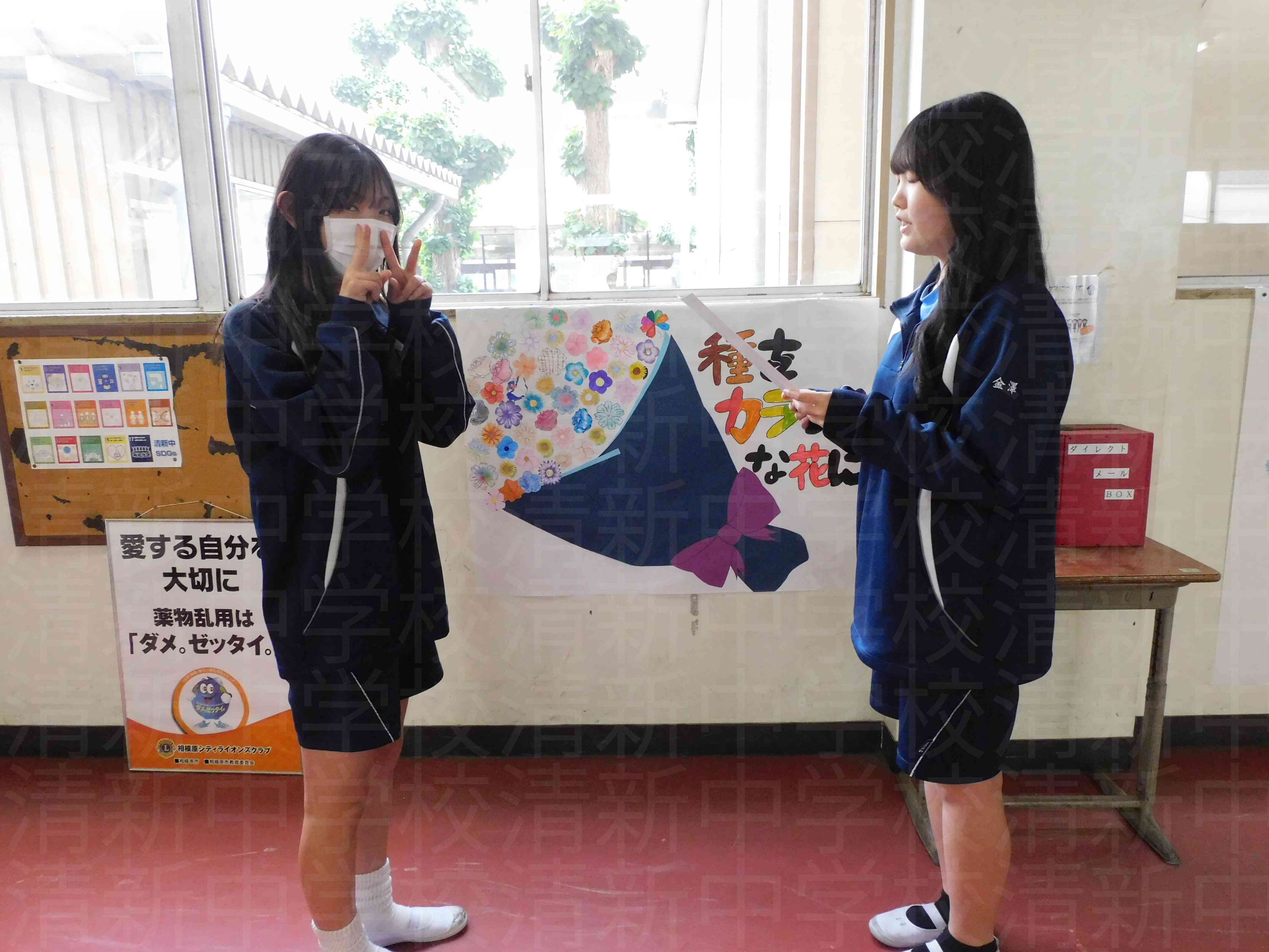 DSCN8087