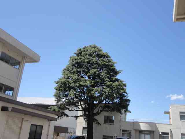 DSC06452 (1)