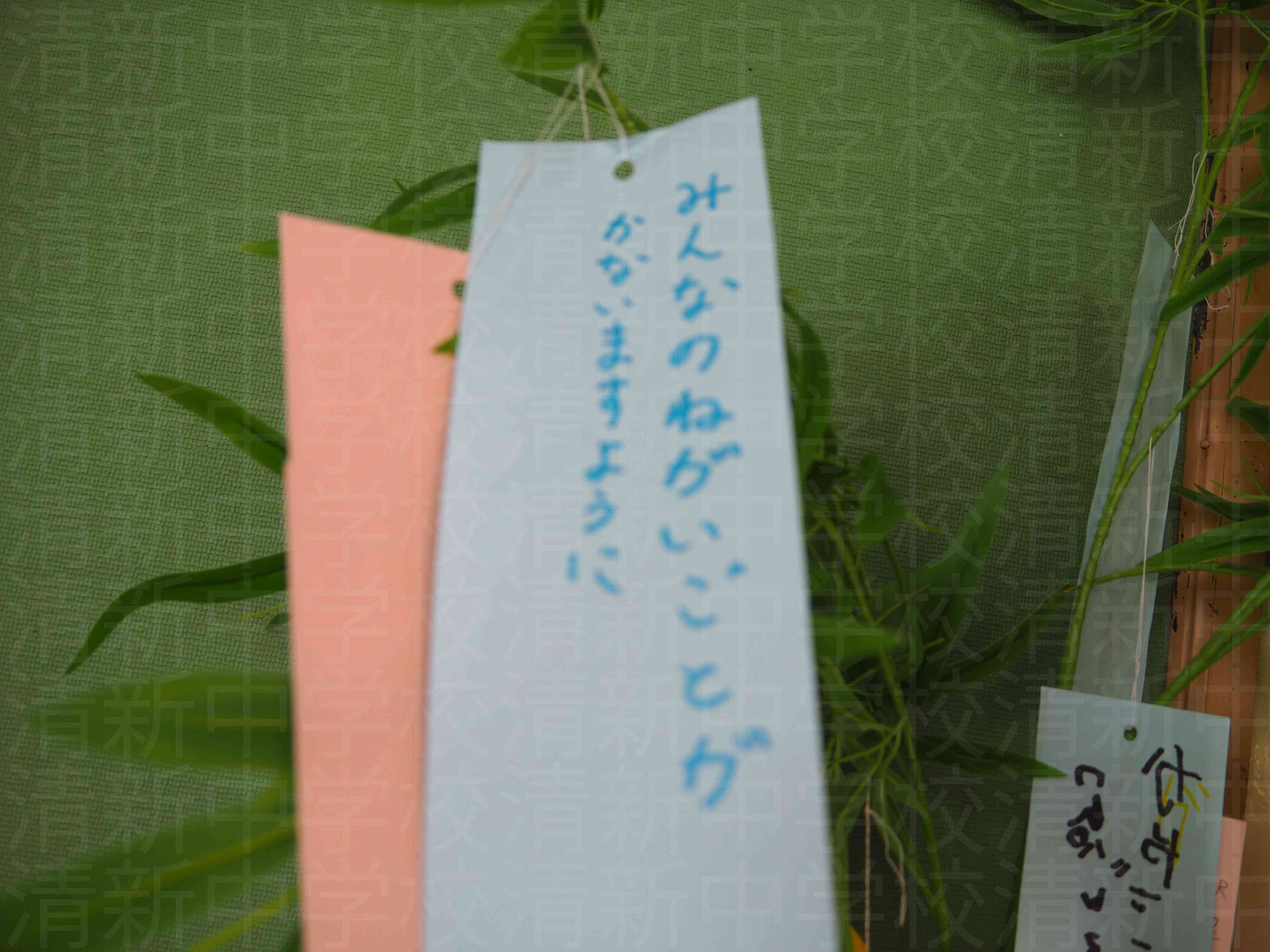 P7031134