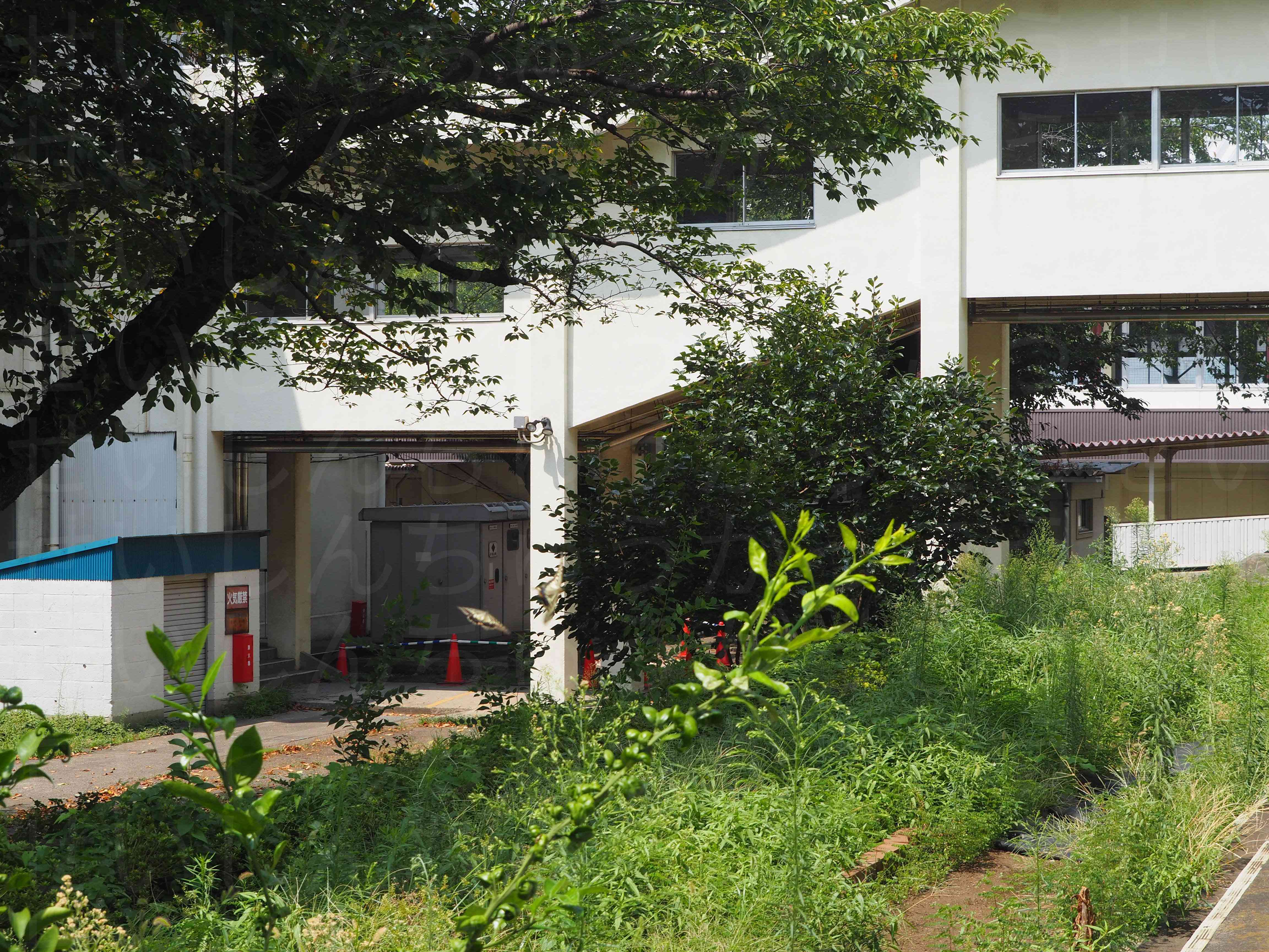 P8250242