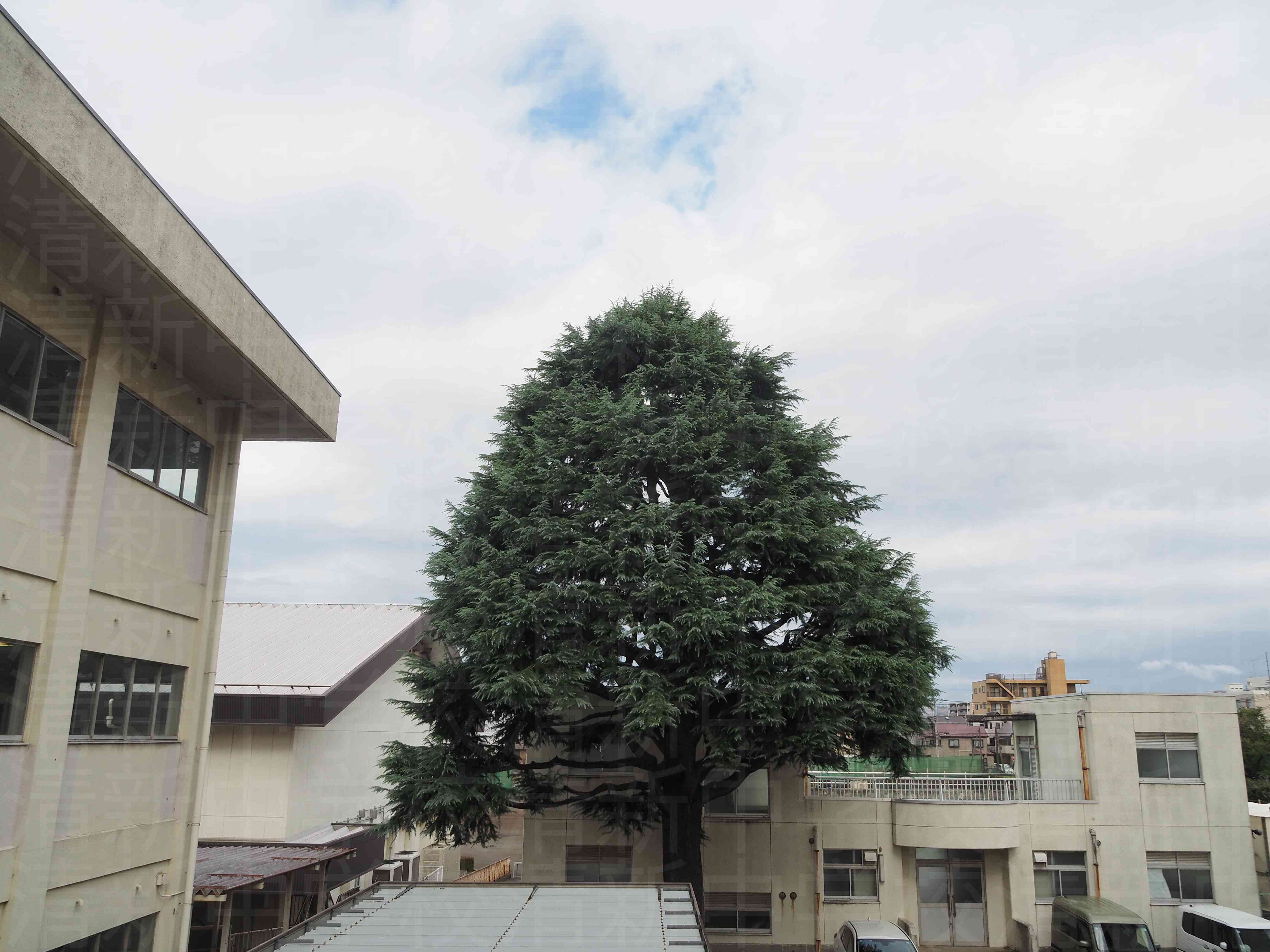 P9302223